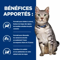Hill's Prescription Diet C/D Urinay Stress + Metabolic Croquettes Pour Chat Au Poulet 17 Hill's Prescription Diet C/D Urinay Stress + Metabolic Croquettes Pour Chat Au Poulet -Promos VetoStore Boutique 52742037417 4 prescription diet chat urinary stress metabolic croquettes