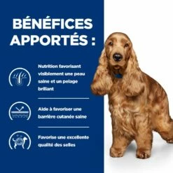 Hill's Prescription Diet Z/D AB+ Pour Chien Au Poulet -Promos VetoStore Boutique 52742040455 4 prescription diet chien z d croquettes