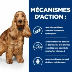 Hill's Prescription Diet Z/D AB+ Pour Chien Au Poulet -Promos VetoStore Boutique 52742040455 5 prescription diet chien z d croquettes