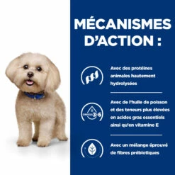 Hill's Prescription Diet Z/D Mini Pour Chien 6kg 11 Hill's Prescription Diet Z/D Mini Pour Chien 6kg -Promos VetoStore Boutique 52742040622 2 FR