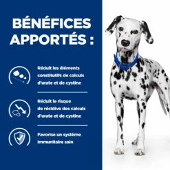 Hill's Prescription Diet U/D Croquettes Pour Chien Au Poulet 13 Hill's Prescription Diet U/D Croquettes Pour Chien Au Poulet -Promos VetoStore Boutique 52742041711 3 prescription diet chien u d croquettes poulet