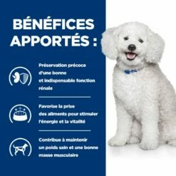 Hill's Prescription Diet K/D Early Stage Croquettes Pour Chien Au Poulet -Promos VetoStore Boutique 52742042374 4 prescription diet chien k d early stage croquettes poulet