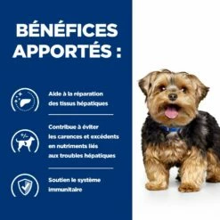 Hill's Prescription Diet L/D Croquettes Pour Chien Au Poulet -Promos VetoStore Boutique 52742042459 4 prescription diet chien l d croquettes poulet