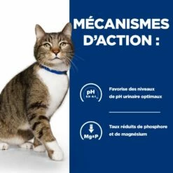 Hill's Prescription Diet S/D Urinary Croquettes Pour Chat Au Poulet 14 Hill's Prescription Diet S/D Urinary Croquettes Pour Chat Au Poulet -Promos VetoStore Boutique 52742042473 4 prescription diet chat s d croquettes poulet