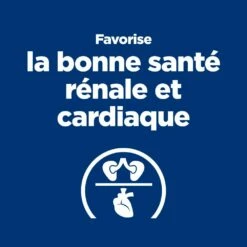 Hill's Prescription Diet Y/D Thyroïd Pour Chat -Promos VetoStore Boutique 52742042503 2 prescription diet chat y d croquettes poulet