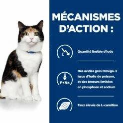 Hill's Prescription Diet Y/D Thyroïd Pour Chat -Promos VetoStore Boutique 52742042503 5 prescription diet chat y d croquettes poulet