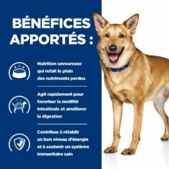 Hill's Prescription Diet I/D AB+ Pour Chien Au Poulet 13 Hill's Prescription Diet I/D AB+ Pour Chien Au Poulet -Promos VetoStore Boutique 52742043166 4 prescription diet chien i d croquettes