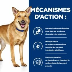 Hill's Prescription Diet I/D AB+ Pour Chien Au Poulet 14 Hill's Prescription Diet I/D AB+ Pour Chien Au Poulet -Promos VetoStore Boutique 52742043166 5 prescription diet chien i d croquettes