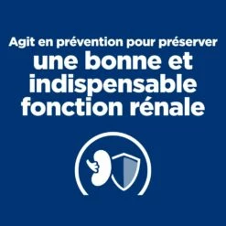 Hill's Prescription Diet K/D Early Stage Croquettes Pour Chat Au Poulet -Promos VetoStore Boutique 52742043630 2 prescription diet chat k d early stage croquettes poulet