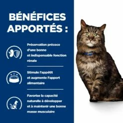 Hill's Prescription Diet K/D Early Stage Croquettes Pour Chat Au Poulet -Promos VetoStore Boutique 52742043630 4 prescription diet chat k d early stage croquettes poulet