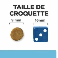 Hill's Prescription Diet K/D Early Stage Croquettes Pour Chat Au Poulet -Promos VetoStore Boutique 52742043630 6 prescription diet chat k d early stage croquettes poulet