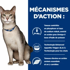 Hill's Prescription Diet K/D Kidney Croquettes Pour Chat Au Poulet - 8Kg -Promos VetoStore Boutique 52742043746 2 FR