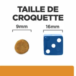 Hill's Prescription Diet K/D Kidney Croquettes Pour Chat Au Poulet - 8Kg -Promos VetoStore Boutique 52742043746 4 FR