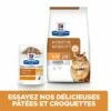 Hill's Prescription Diet K/D + Mobility Croquettes Pour Chat Au Poulet -Promos VetoStore Boutique 52742044767 3 prescription diet chat k d mobility croquettes poulet