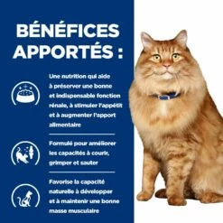 Hill's Prescription Diet K/D + Mobility Croquettes Pour Chat Au Poulet -Promos VetoStore Boutique 52742044767 4 prescription diet chat k d mobility croquettes poulet