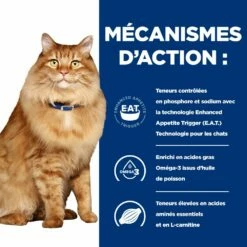 Hill's Prescription Diet K/D + Mobility Croquettes Pour Chat Au Poulet -Promos VetoStore Boutique 52742044767 5 prescription diet chat k d mobility croquettes poulet