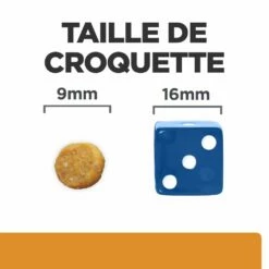Hill's Prescription Diet K/D + Mobility Croquettes Pour Chat Au Poulet -Promos VetoStore Boutique 52742044767 6 prescription diet chat k d mobility croquettes poulet