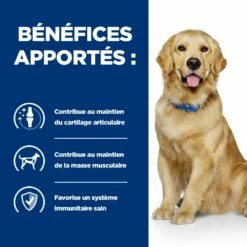 Hill's Prescription Diet J/D Mobility Croquettes Pour Chien Au Poulet -Promos VetoStore Boutique 52742045740 4 prescription diet chien j d croquettes poulet