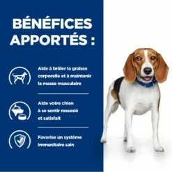Hill's Prescription Diet R/D Croquettes Pour Chien Au Poulet -Promos VetoStore Boutique 52742047256 3 prescription diet chien r d croquettes poulet