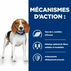 Hill's Prescription Diet R/D Croquettes Pour Chien Au Poulet -Promos VetoStore Boutique 52742047256 4 prescription diet chien r d croquettes poulet