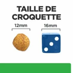 Hill's Prescription Diet R/D Croquettes Pour Chien Au Poulet -Promos VetoStore Boutique 52742047256 5 prescription diet chien r d croquettes poulet