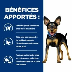 Hill's Prescription Diet Metabolic Mijotés Pour Chien 24x156g Poulet Et Légumes -Promos VetoStore Boutique 52742047331 3 FR