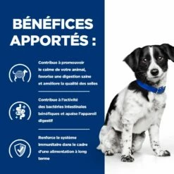 Hill's Prescription Diet I/D Stress Digestive Mini Pour Petit Chien Au Poulet -Promos VetoStore Boutique 52742048123 4 prescription diet chien i d stress mini croquettes
