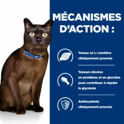 Hill's Prescription Diet M/D Croquettes Pour Chat Au Poulet -Promos VetoStore Boutique 52742048208 4 prescription diet chat m d croquettes poulet