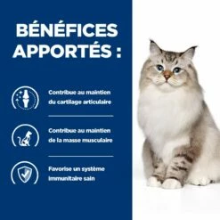 Hill's Prescription Diet J/D Croquettes Pour Chat Au Poulet -Promos VetoStore Boutique 52742048352 3 prescription diet chat j d croquettes poulet 1