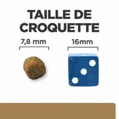 Hill's Prescription Diet J/D Croquettes Pour Chat Au Poulet -Promos VetoStore Boutique 52742048352 5 prescription diet chat j d croquettes poulet