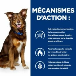 Hill's Prescription Diet Metabolic Pour Chien -Promos VetoStore Boutique 52742209906 5 prescription diet chien metabolic croquettes poulet