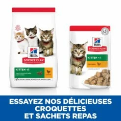 Hill's Science Plan Kitten Multipack 12 Sachets Repas Pour Chaton Poulet Et Poisson -Promos VetoStore Boutique 52742211503 4 science plan chaton sachet repas pack mixte poulet poisson