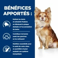 Hill's Prescription Diet T/D Pour Petit Chien 15 Hill's Prescription Diet T/D Pour Petit Chien -Promos VetoStore Boutique 52742402109 4 prescription diet chien t d mini croquettes poulet
