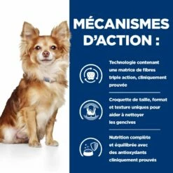 Hill's Prescription Diet T/D Pour Petit Chien 16 Hill's Prescription Diet T/D Pour Petit Chien -Promos VetoStore Boutique 52742402109 5 prescription diet chien t d mini croquettes poulet