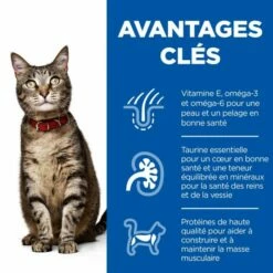 Hill's Science Plan Adult Croquettes Pour Chat Au Poulet 13 Hill's Science Plan Adult Croquettes Pour Chat Au Poulet -Promos VetoStore Boutique 52742629100 3 science plan chat adulte croquettes poulet
