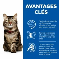 Hill's Science Plan Adult Hairball Indoor Croquettes Pour Chat Sénior D'intérieur Au Poulet 1,5 Kg -Promos VetoStore Boutique 52742761008 3 science plan chat hairball indoor chat g interieur croquettes poulet.jpg