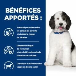 Hill's Prescription Diet C/D Urinary Multicare Croquettes Pour Chien Au Poulet -Promos VetoStore Boutique 52742917603 4 prescription diet chien c d multicare croquettes poulet
