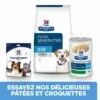 Hill's Prescription Diet D/D Croquettes Pour Chien Au Canard Et Au Riz 2 Hill's Prescription Diet D/D Croquettes Pour Chien Au Canard Et Au Riz -Promos VetoStore Boutique 52742917900 5 FR