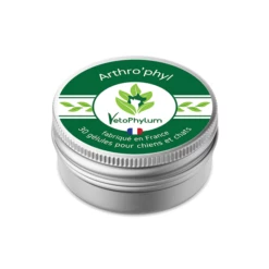 Arthro'Phyl