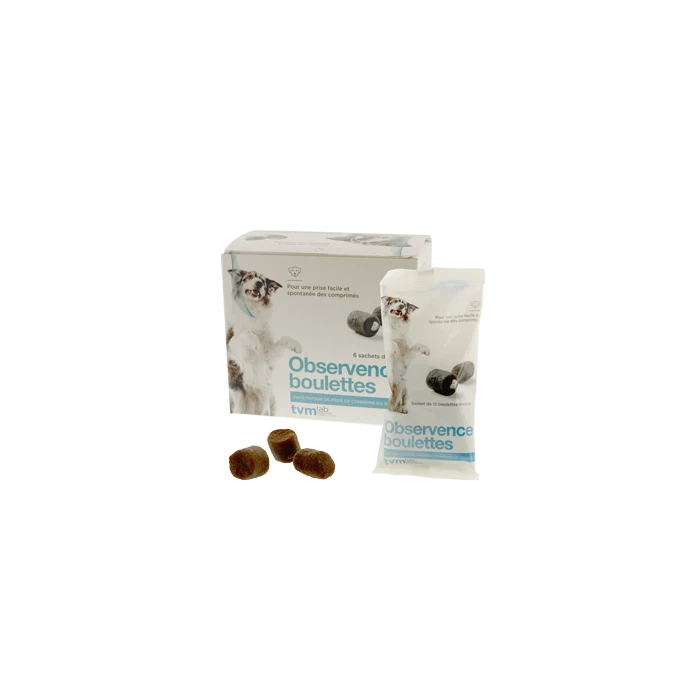 Observence Chien - 15 Boulettes 3 Observence Chien - 15 Boulettes