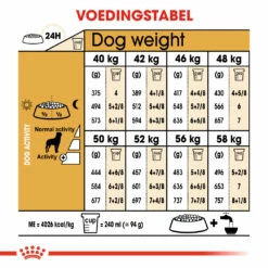 Royal Canin Rottweiler Adult Pour Chien 3kg 5 Royal Canin Rottweiler Adult Pour Chien 3kg -Promos VetoStore Boutique 56fd1f168adf1bd610b5cf2faae8c7cf02b77566f248cfd9f066d7b97bf4893e