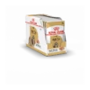 Royal Canin Shih Tzu 12x 85g -Promos VetoStore Boutique 58ac3b3271a08f3c3fe0360d8b63e0f7a8cfcbb73a5690fedae2edde7d751246