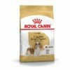 Royal Canin Cavalier King Charles Adult 1,5kg -Promos VetoStore Boutique 5909e9bffd4e56b63c73f9cbb51e875cb88bdf8adcaaff0c528474ba4811c7a1