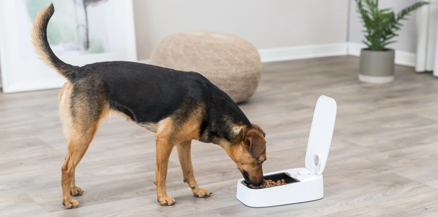 Trixie Distributeur Automatique De Nourriture Tx1 6 Trixie Distributeur Automatique De Nourriture Tx1 – Image 4