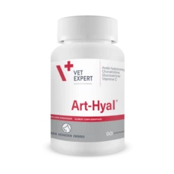 Art-Hyal 90 Comprimés