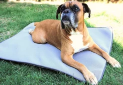 Matelas Anti-escarres Confort4pattes -Promos VetoStore Boutique 638baae81eb1e1760e928973f328af13c93fa40d74fa34b96d53b09ed3adbfed