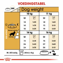 Royal Canin Cocker Adult Pour Chien 12kg -Promos VetoStore Boutique 66ac97ed957c57330f0ec2173ce703e40374a52e0de005d74348b909f027667a