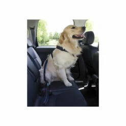 LAISSE SÉCURITÉ AUTO -Promos VetoStore Boutique 696496 2