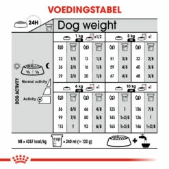 Royal Canin Digestive Care Mini Adult Pour Chien 8kg -Promos VetoStore Boutique 6c8b5b36cdae1bb7d65088a3d39ae817180740517049f930365038ddcf70f5f3