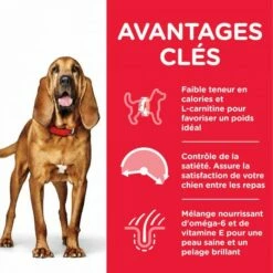 HILL'S Science Plan Canine Mature 7+ Adult Light Au Poulet -Promos VetoStore Boutique 6f9f9d5509c857c9328d3b1c0df6685abc8056325df9be0135d395dce93c7896